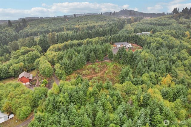 374 Bellwood Drive, Castle Rock, WA 98611