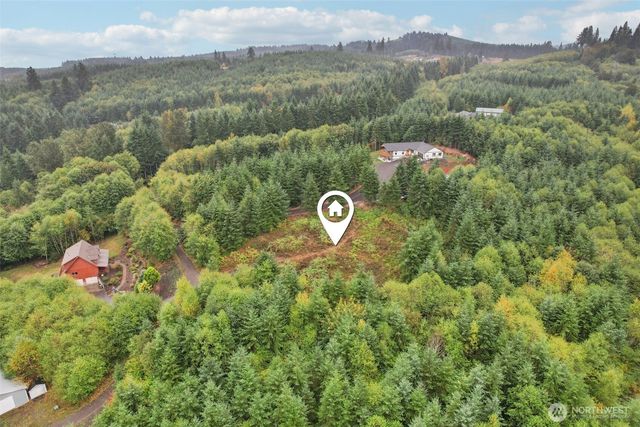 374 Bellwood Drive, Castle Rock, WA 98611