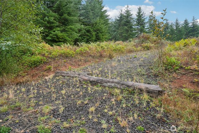 374 Bellwood Drive, Castle Rock, WA 98611