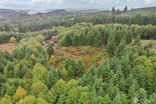 374 Bellwood Drive, Castle Rock, WA 98611