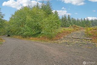 374 Bellwood Drive, Castle Rock, WA 98611