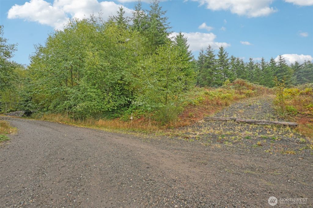 374 Bellwood Drive, Castle Rock, WA 98611