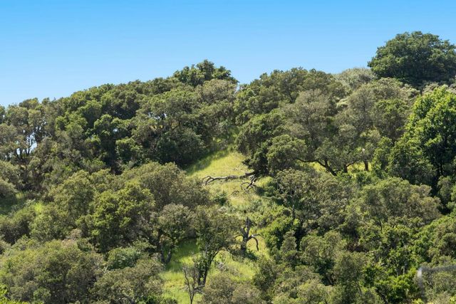 3307 Bay Court, Belmont, CA 94002