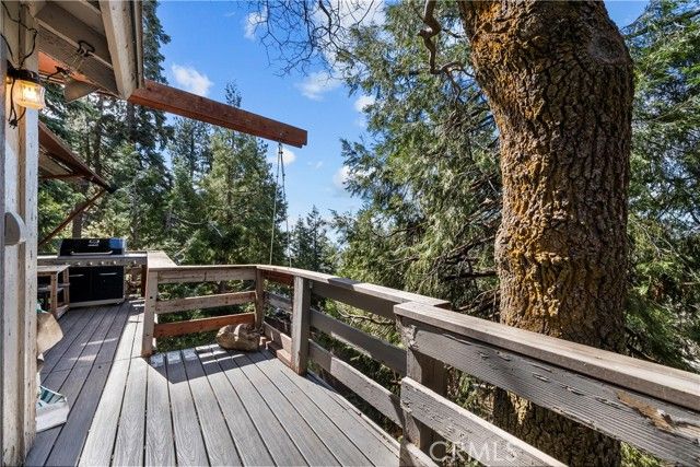 30901 Live Oak Drive, Running Springs, CA 92382