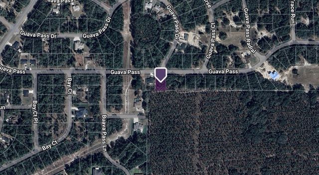 TBD GUAVA PASS, Ocklawaha, FL 32179
