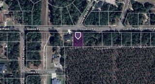 TBD GUAVA PASS, Ocklawaha, FL 32179