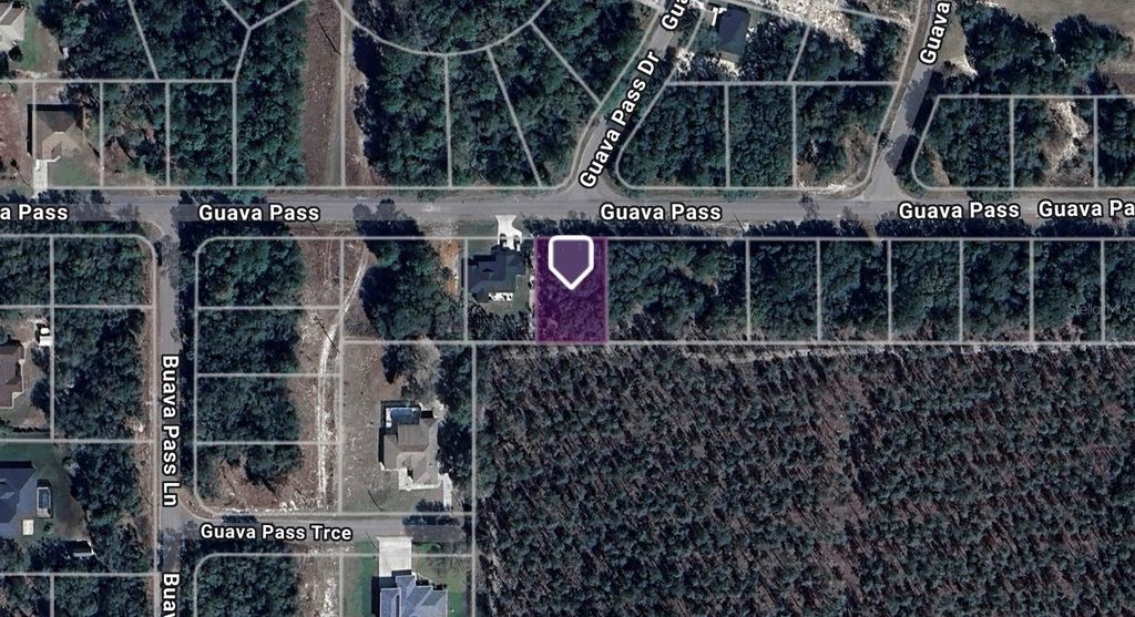 TBD GUAVA PASS, Ocklawaha, FL 32179