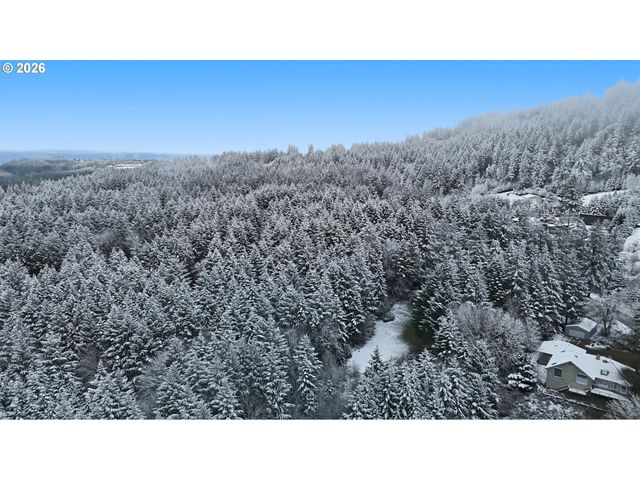 25115 Ne ALBERTSON Rd, Hillsboro, OR 97123