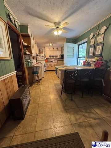 432 Van Dyke Road, Dillon, SC 29536