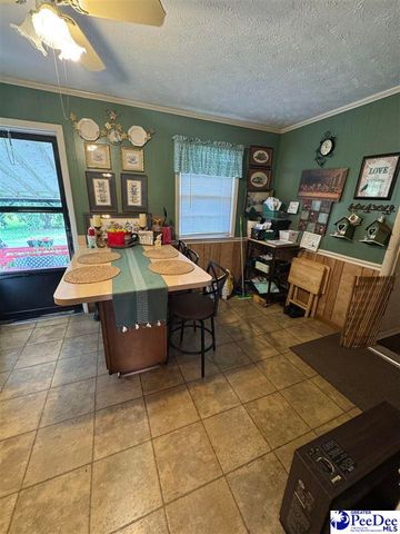 432 Van Dyke Road, Dillon, SC 29536
