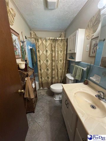 432 Van Dyke Road, Dillon, SC 29536
