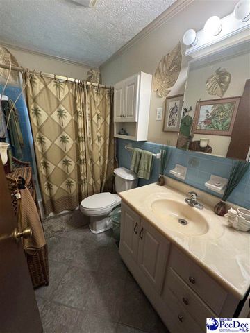432 Van Dyke Road, Dillon, SC 29536