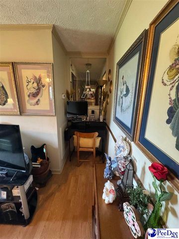 432 Van Dyke Road, Dillon, SC 29536
