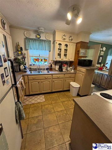 432 Van Dyke Road, Dillon, SC 29536