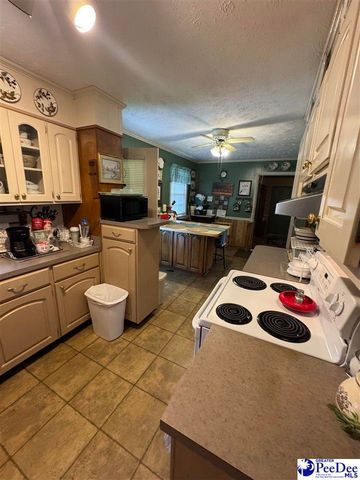 432 Van Dyke Road, Dillon, SC 29536