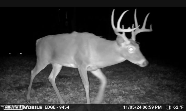 27 WALNUT, Holts Summit, MO 65043