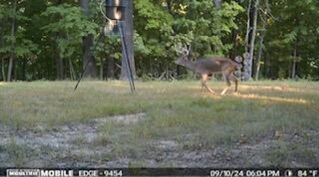 27 WALNUT, Holts Summit, MO 65043