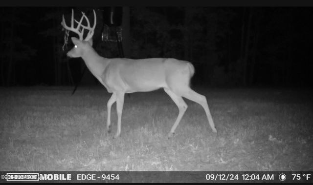 27 WALNUT, Holts Summit, MO 65043