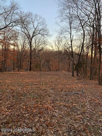 27 WALNUT, Holts Summit, MO 65043