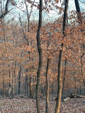 27 WALNUT, Holts Summit, MO 65043