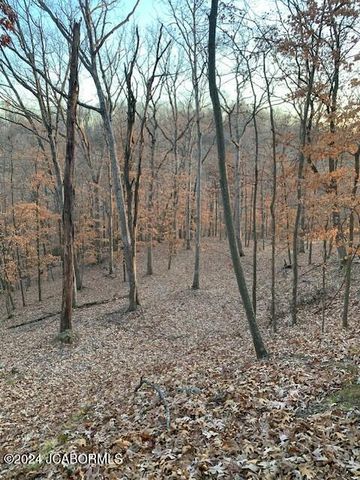 27 WALNUT, Holts Summit, MO 65043