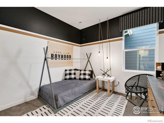 3246 Buffalo Grass Lane, Wellington, CO 80549