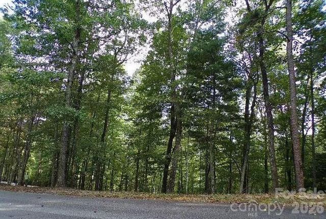 100 Black Bear Ridge Trail, Zirconia, NC 28790