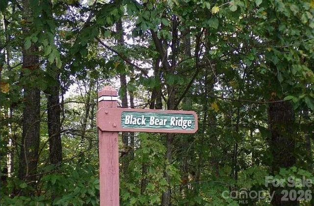 100 Black Bear Ridge Trail, Zirconia, NC 28790