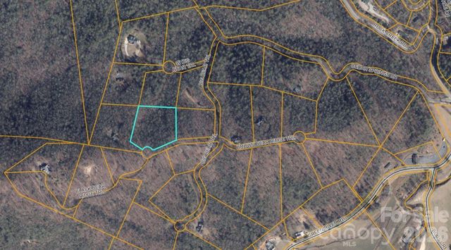 100 Black Bear Ridge Trail, Zirconia, NC 28790