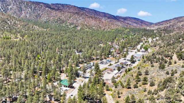 1074 Yellowstone Drive, Wrightwood, CA 92397