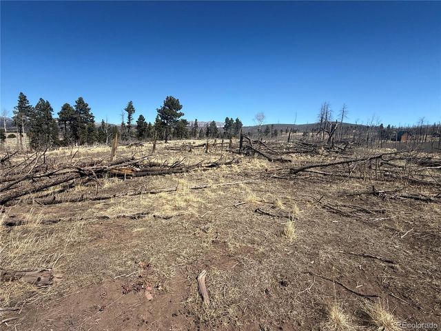 Lot 999 Foy Place, Fort Garland, CO 81133