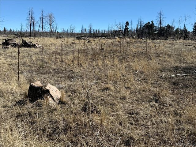 Lot 999 Foy Place, Fort Garland, CO 81133