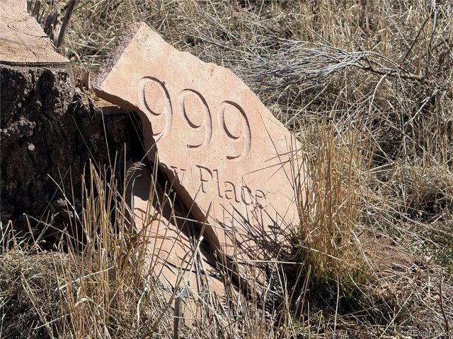 Lot 999 Foy Place, Fort Garland, CO 81133