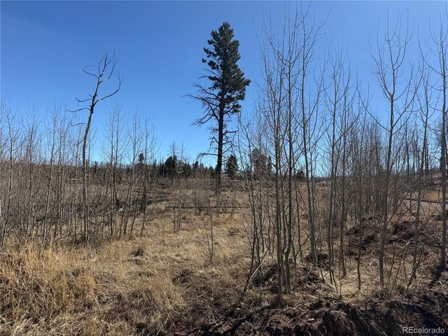 Lot 999 Foy Place, Fort Garland, CO 81133