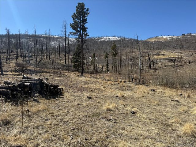 Lot 999 Foy Place, Fort Garland, CO 81133