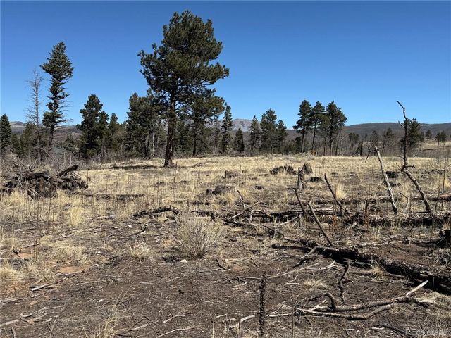 Lot 999 Foy Place, Fort Garland, CO 81133