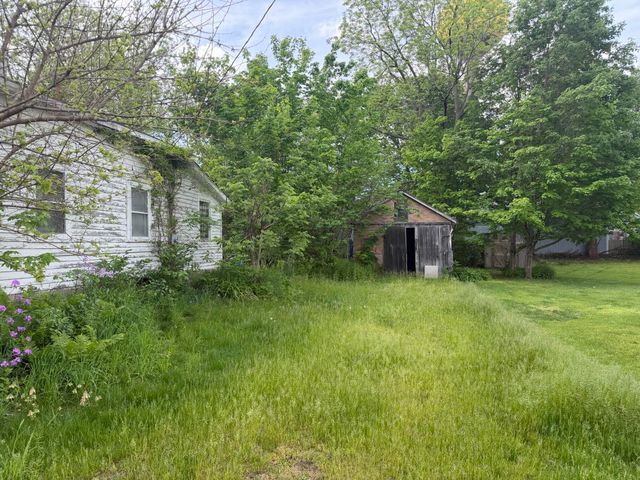 111 E St Marys Street, Decatur, MI 49045