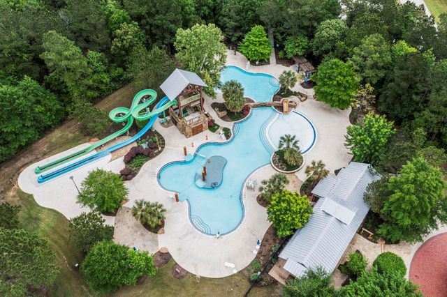 131 Pacific Grove Drive, Montgomery, TX 77316
