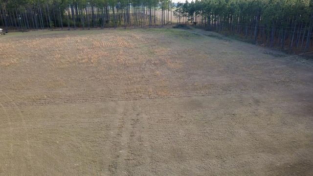 9197 S S Rocky Creek Rd, Cottonwood, AL 36320