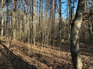 3 Timber Ridge Drive, Kimball, TN 37347