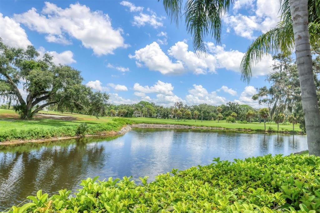 4555 FOREST WOOD TRAIL 23, Sarasota, FL 34241