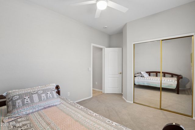 29906 N Little Leaf Drive, San Tan Valley, AZ 85143