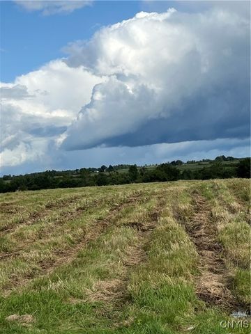 31233 Elm Ridge Road, Le Ray, NY 13637