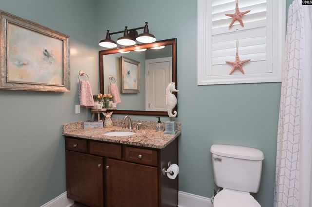 124 Parapet Trail, Chapin, SC 29036