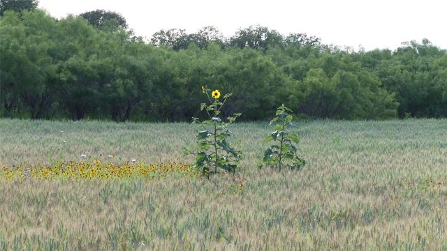 83A FM-2559, Brownwood, TX 76801
