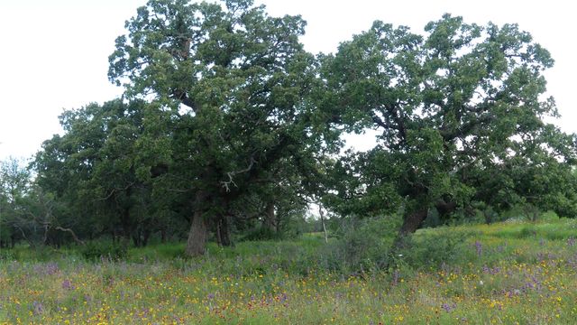 83A FM-2559, Brownwood, TX 76801