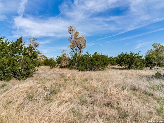 7991 Ranch Road 965, Fredericksburg, TX 78624