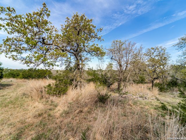 7991 Ranch Road 965, Fredericksburg, TX 78624