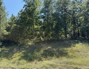 Lot 518 Bristle Cone, Aiken, SC 29803
