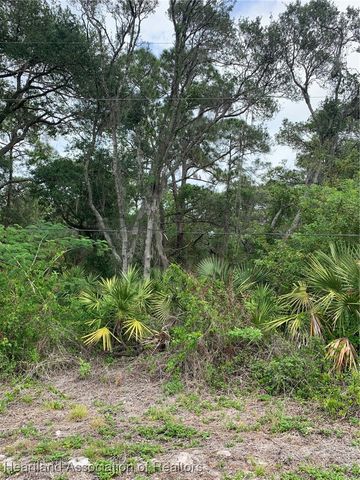 232 Eleanor Boulevard, Lake Placid, FL 33852